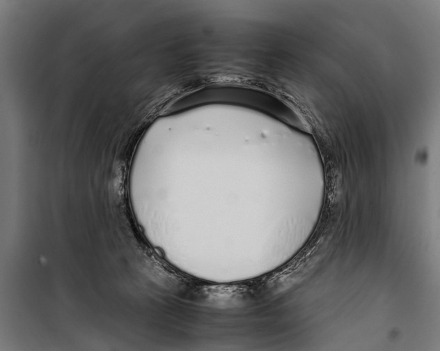 X0000099930273200806201104