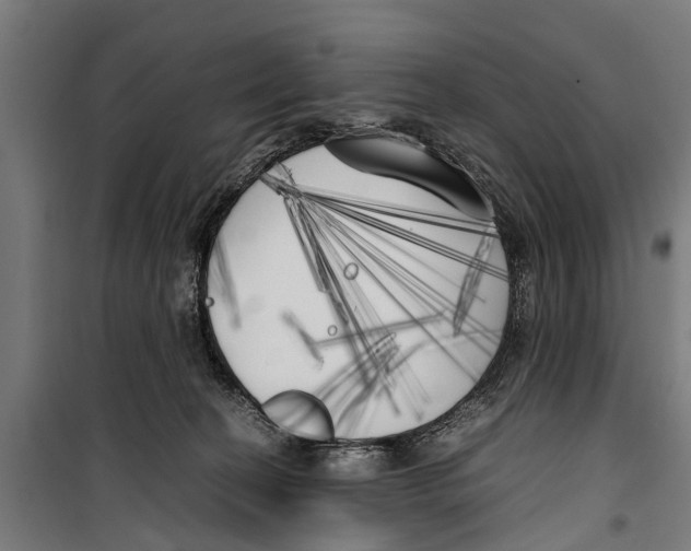 X0000099930274200806201104