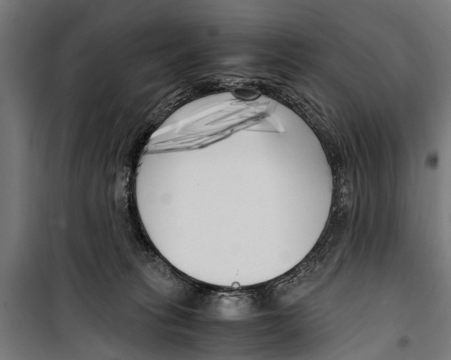 X0000099930275200806201104