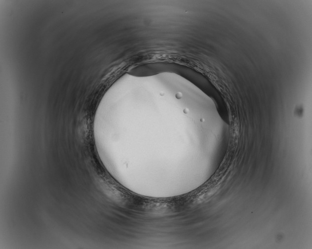 X0000099930276200806201104