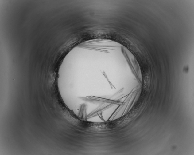 X0000099930278200806201104