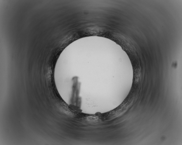 X0000099930279200806201104