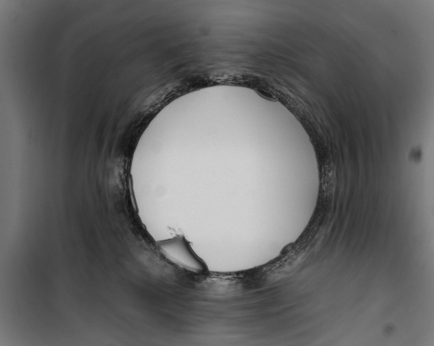 X0000099930280200806201104