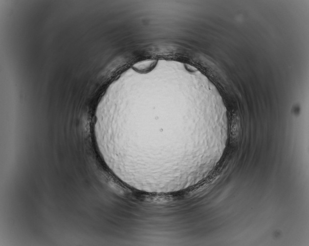 X0000099930282200806201104