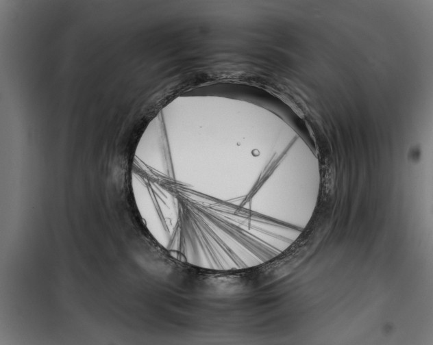 X0000099930283200806201104