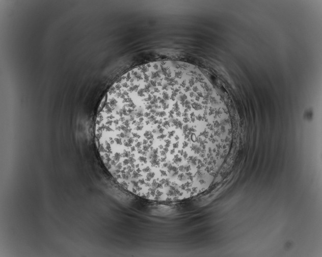 X0000099930285200806201104