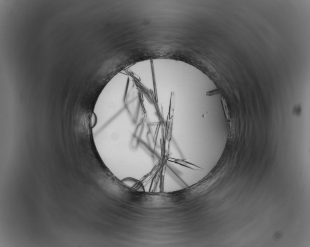 X0000099930286200806201104