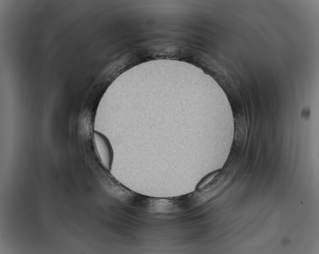 X0000099930287200806201104