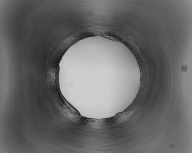 X0000099930288200806201104