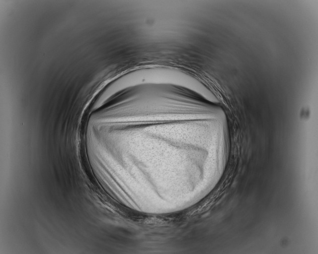 X0000099930290200806201103