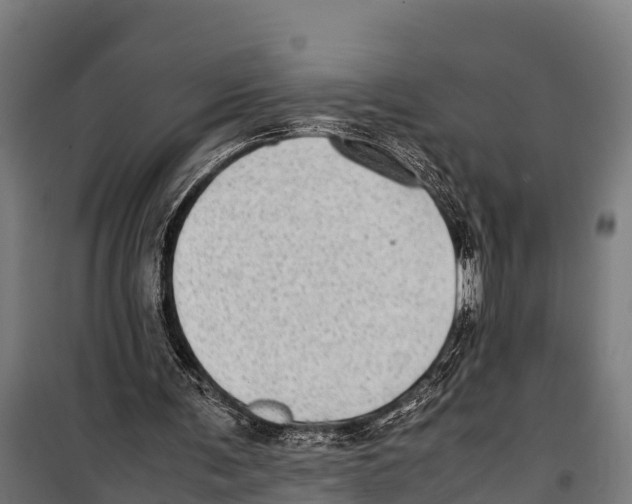 X0000099930291200806201103