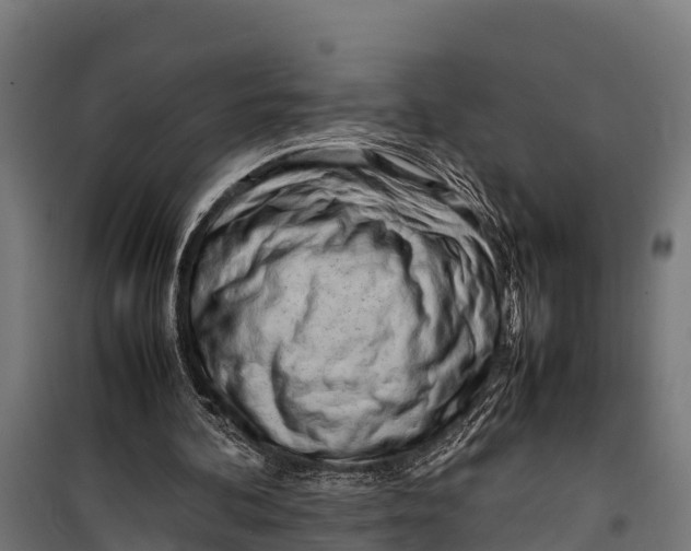 X0000099930292200806201103