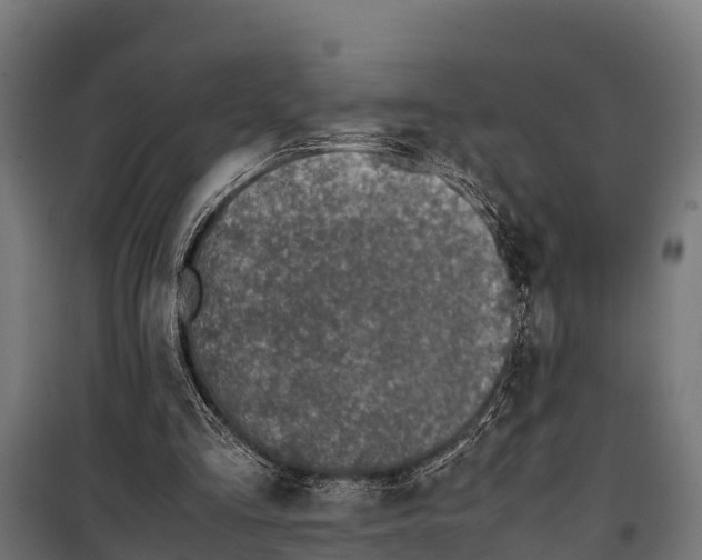 X0000099930293200806201103