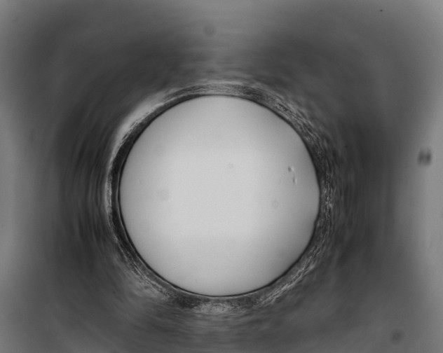 X0000099930294200806201103