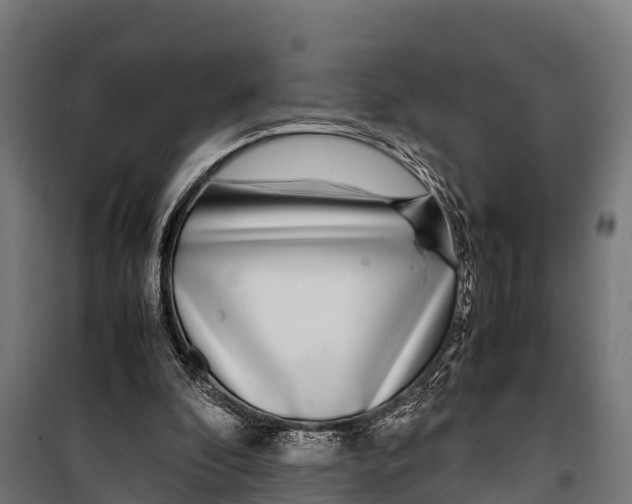 X0000099930296200806201103