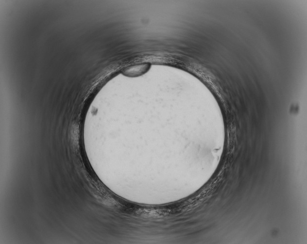 X0000099930297200806201103