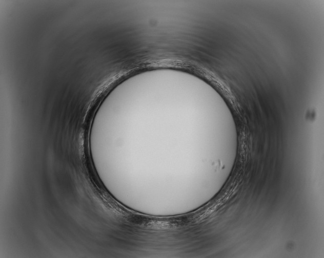 X0000099930298200806201103