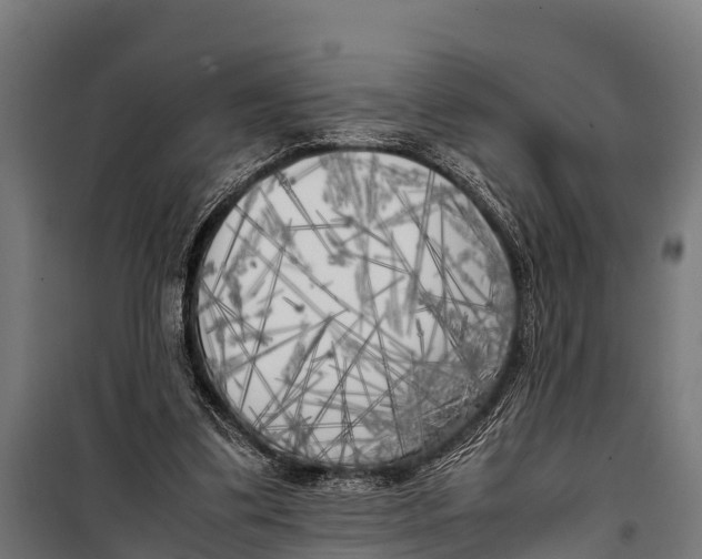 X0000099930299200806201103