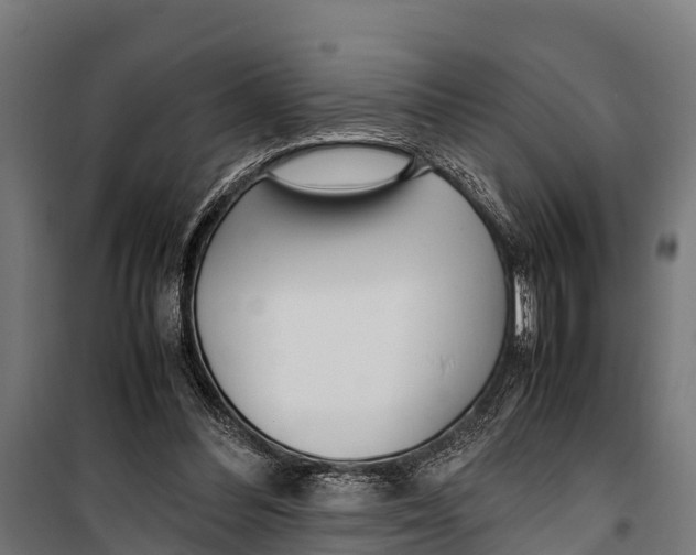 X0000099930300200806201103