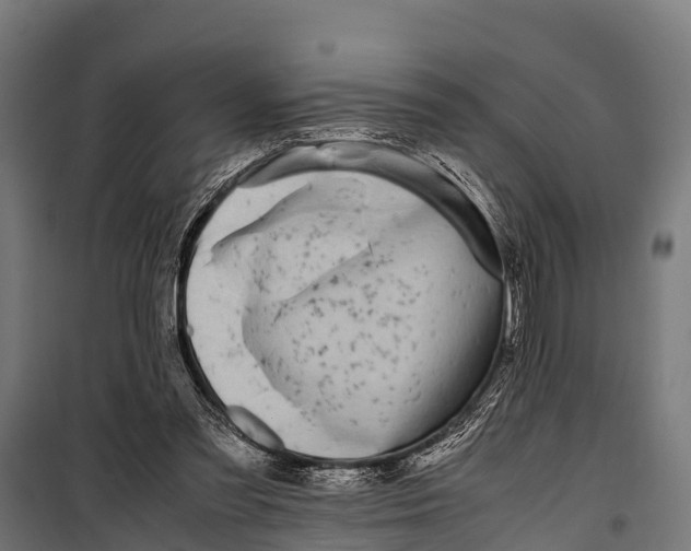 X0000099930301200806201103