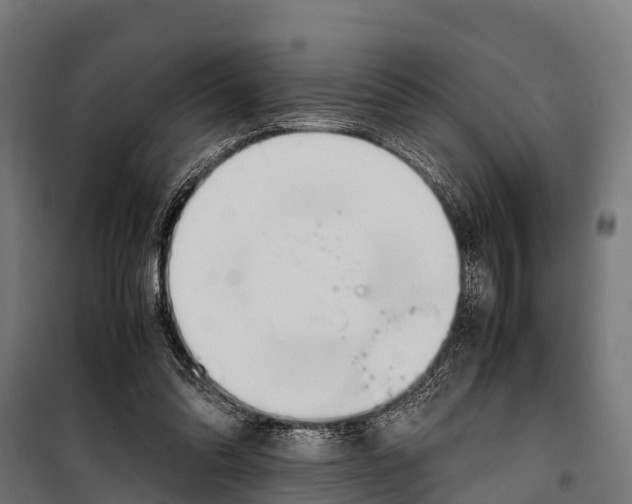 X0000099930302200806201103