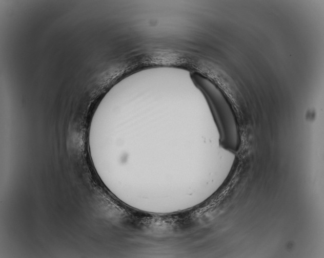 X0000099930305200806201103