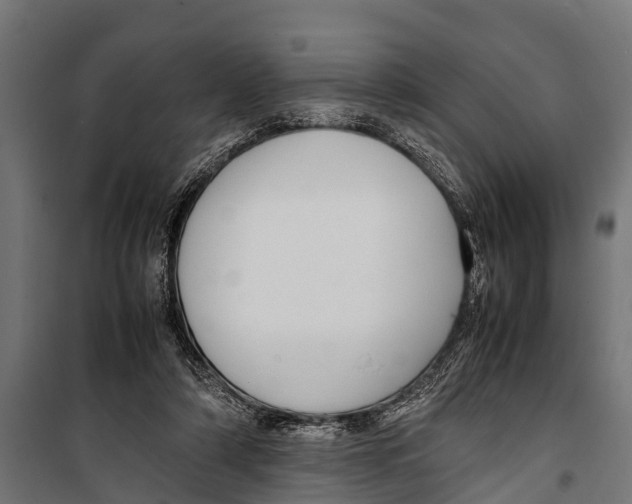 X0000099930306200806201103