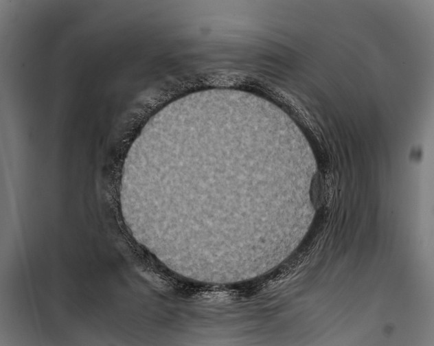 X0000099930307200806201103