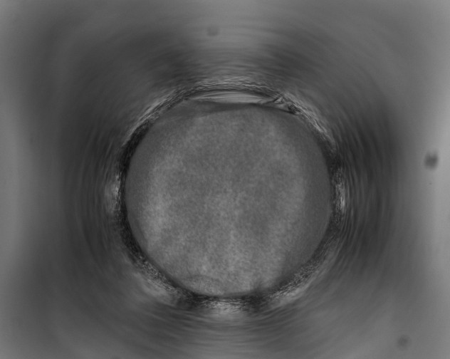 X0000099930308200806201103