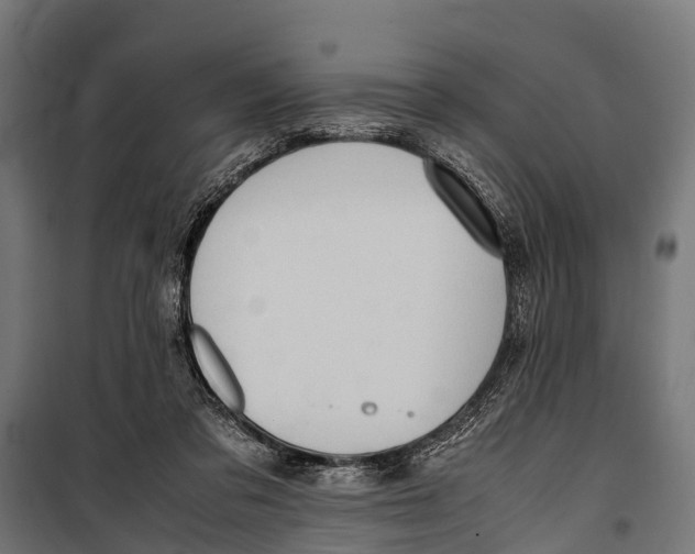 X0000099930309200806201103