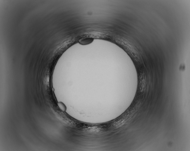 X0000099930310200806201103