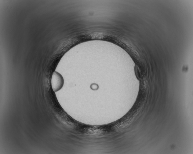 X0000099930311200806201103