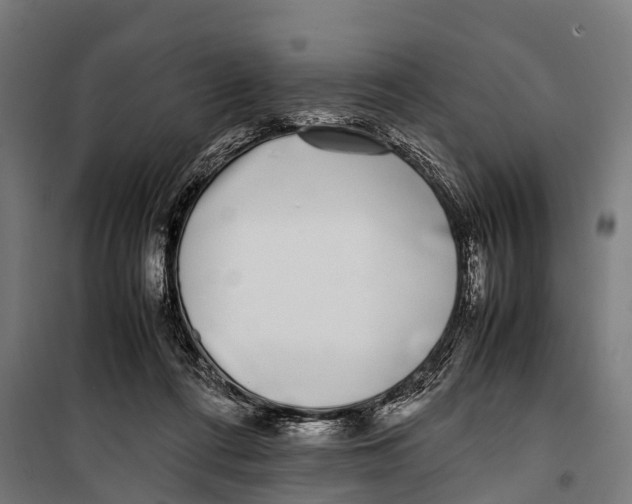 X0000099930312200806201103