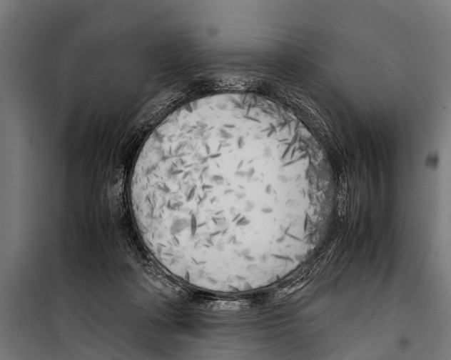 X0000099930314200806201103