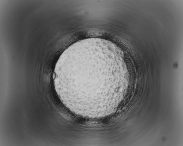 X0000099930315200806201103