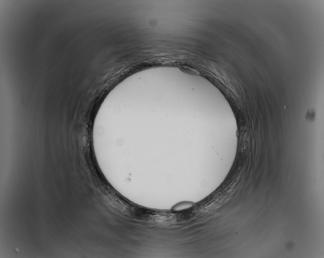 X0000099930317200806201103