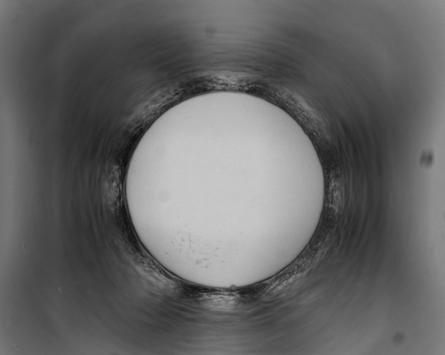 X0000099930318200806201103