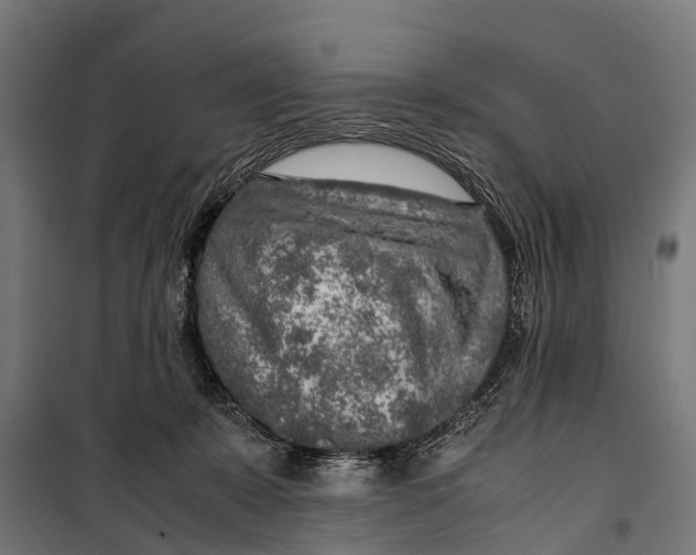 X0000099930319200806201103