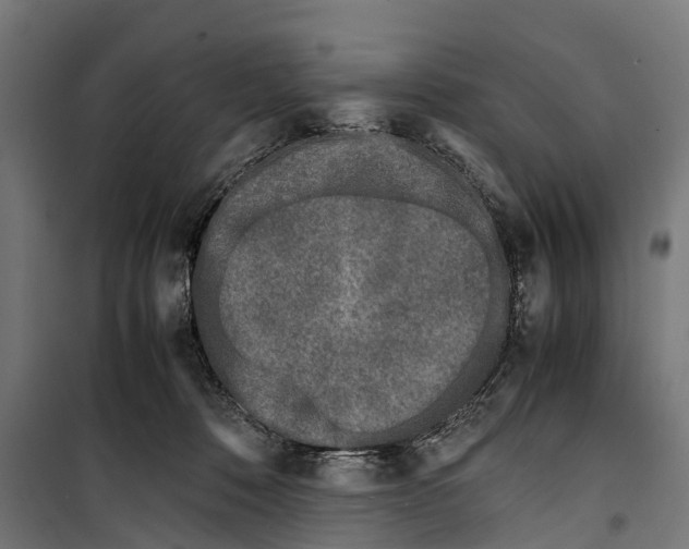 X0000099930320200806201103