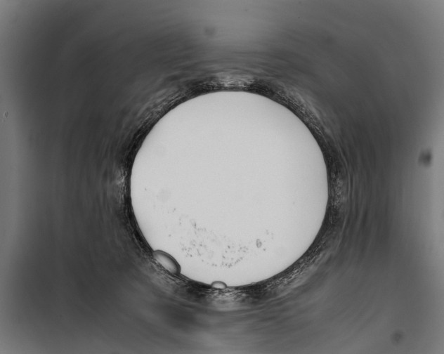 X0000099930321200806201103