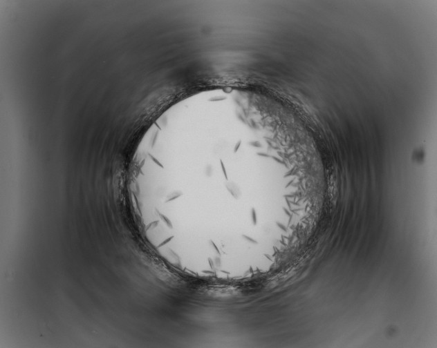 X0000099930322200806201103