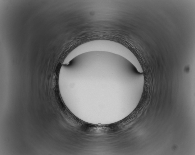 X0000099930323200806201103