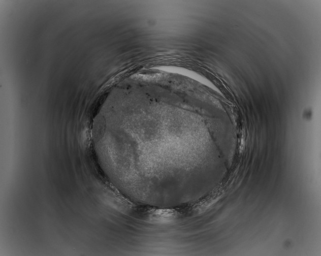 X0000099930324200806201103