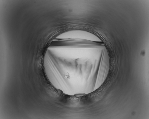 X0000099930325200806201103