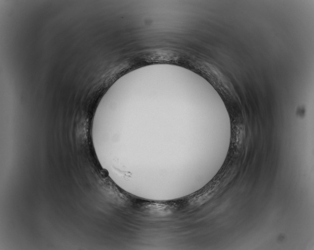 X0000099930326200806201103