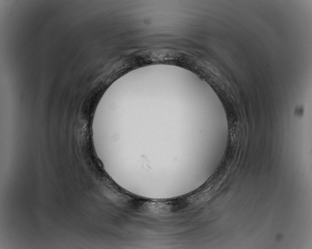 X0000099930327200806201103