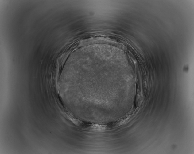 X0000099930328200806201103