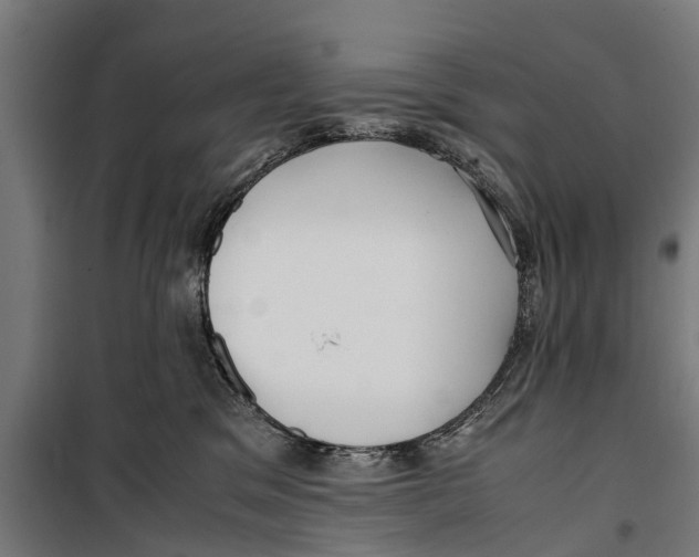 X0000099930329200806201103