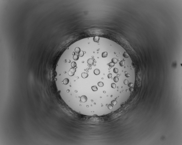 X0000099930330200806201103