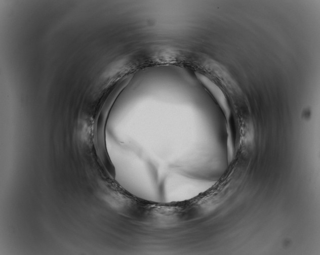 X0000099930332200806201102